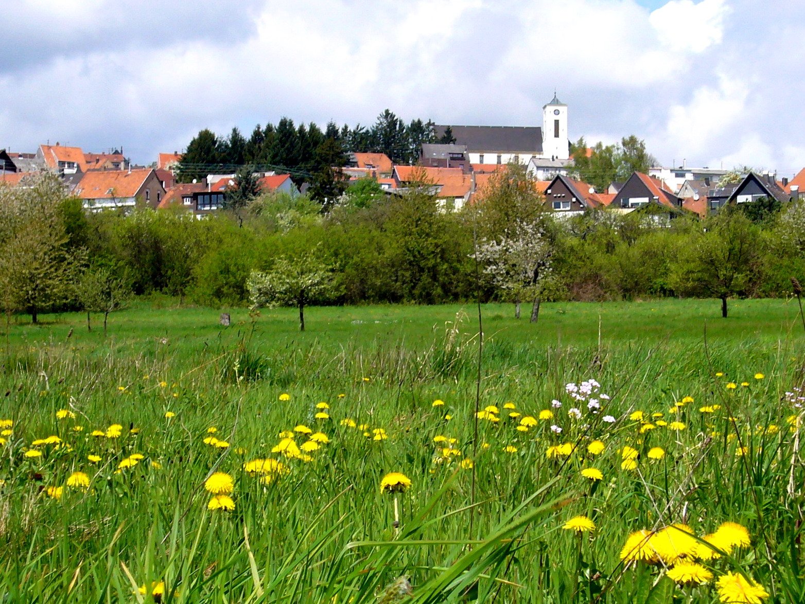 Fruehling Frankenholz2018